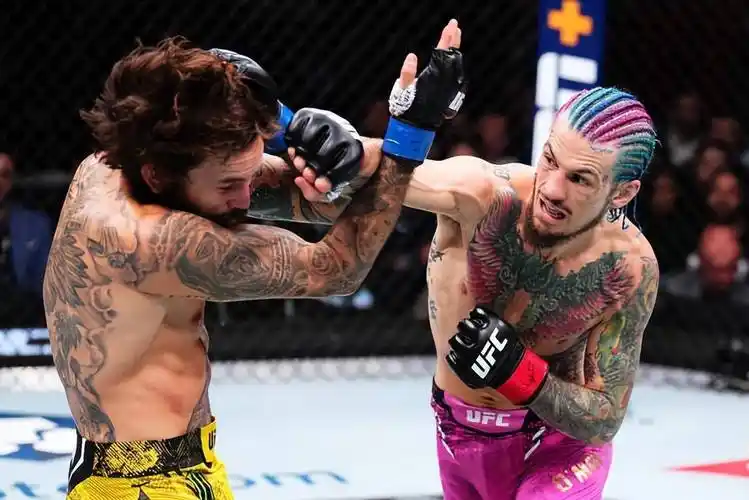 原创宋亚东点数告负奥马利成功卫冕ufc雏量级金腰带