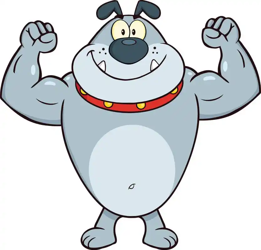 微笑着灰色的斗牛犬卡通吉祥物形象展示肌肉武器