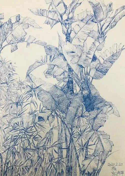 《龟背竹》    陈波(教师)