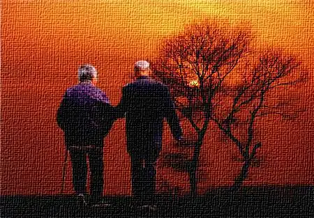 我需要一长一对满头白发的老人在牵手一起看夕阳的图片.