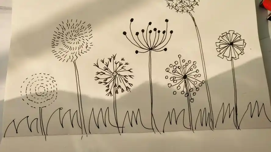 简笔画教程,几种简单又好看的蒲公英画法