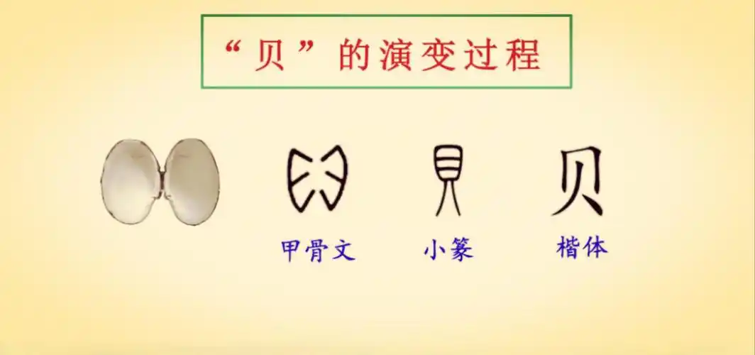 你能结合课文插图,说说"贝"字的发展过程吗?