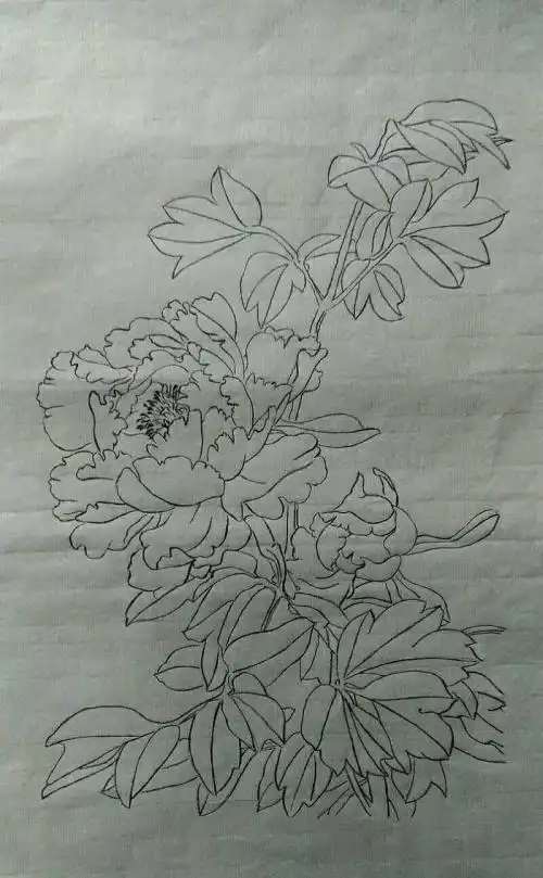 没有简笔画基础能画国画吗