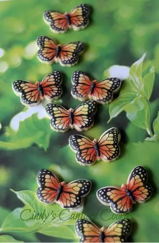 5 - butterflies by cindy velt