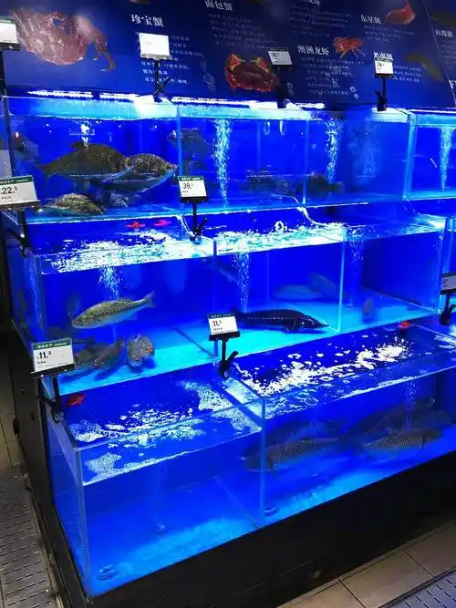 广州海鲜池定做案例