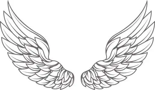 翅膀一对漂亮简笔画