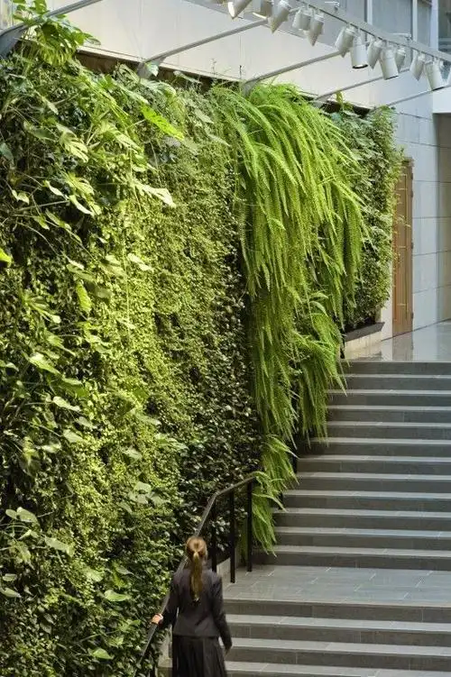 垂直绿化