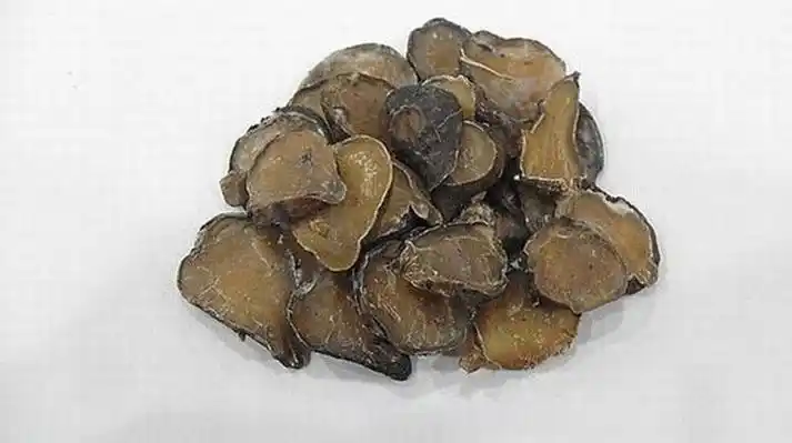 制附子的功效与作用-乐哈健康网