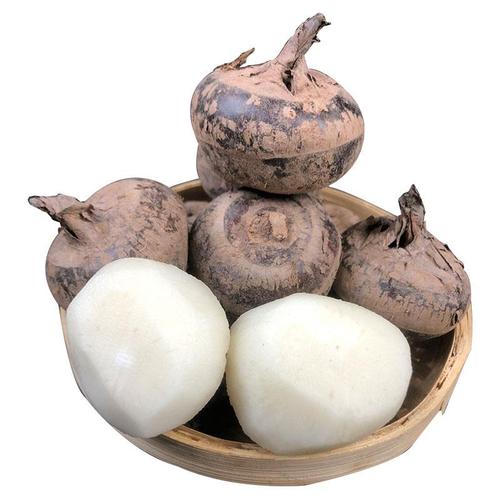 广西特产正宗荔浦马蹄新鲜马蹄5斤荸荠当季水果蔬菜饽荠中大