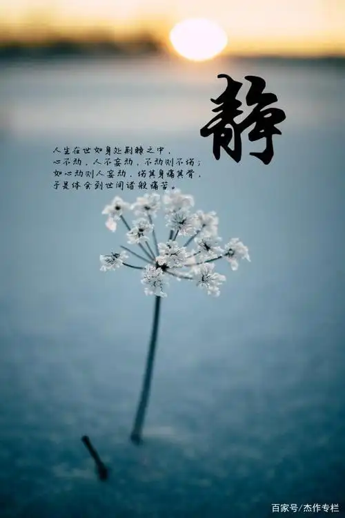 诗意生活,禅意人生