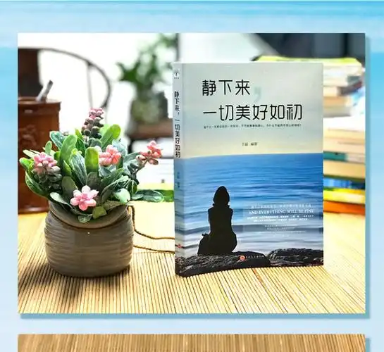 静下来一切美好如初正版青春成功励志小说书籍心灵与修养书本图书