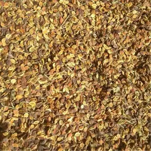 优质供应威灵仙种子 威灵仙种子种植基地 批发价格  发芽率高