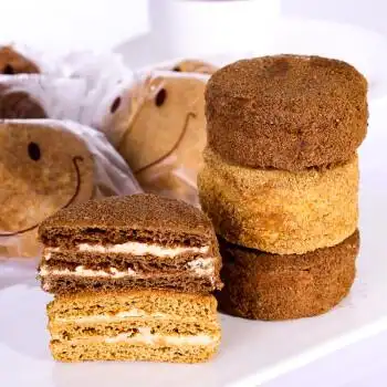 俄罗斯russia风味迷你提拉米苏24枚小面包奶油蛋糕营养早餐零即食品55