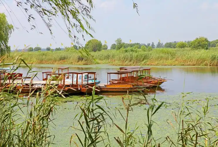 江苏盐城旅游景点大全(江苏盐城旅游景点大全排名)