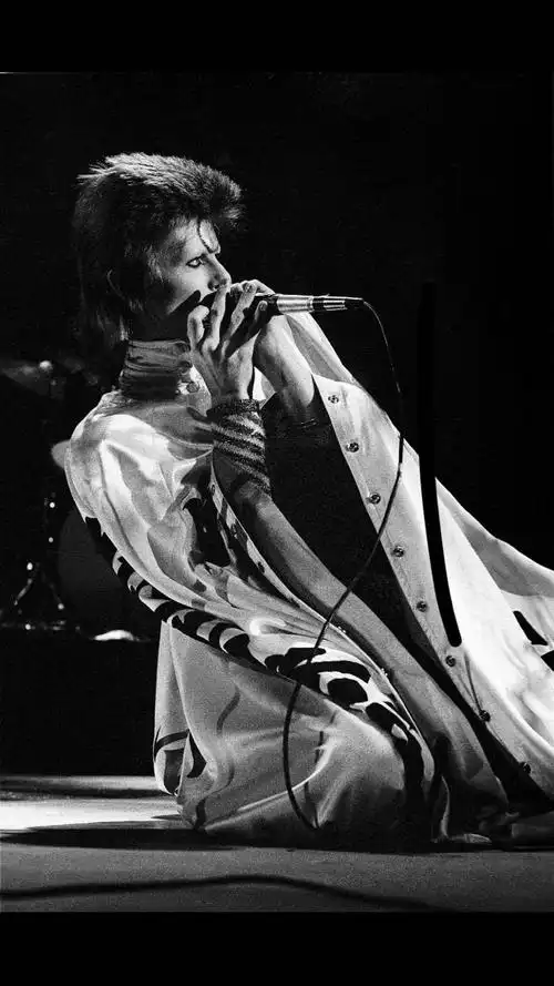 david bowie