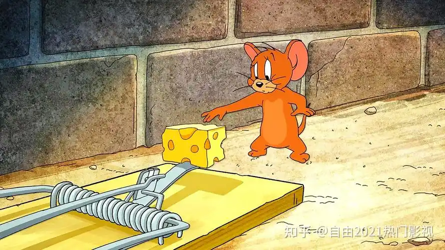 猫和老鼠的头像图片壁纸高清合集