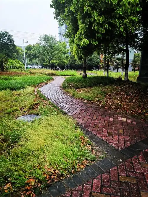 早晨小雨