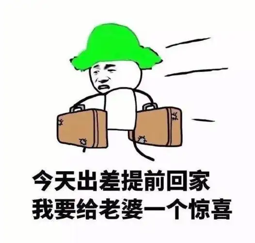 今天出差提前回家,我要给老婆一个惊喜 - 斗图表情包 - 金馆长表情库