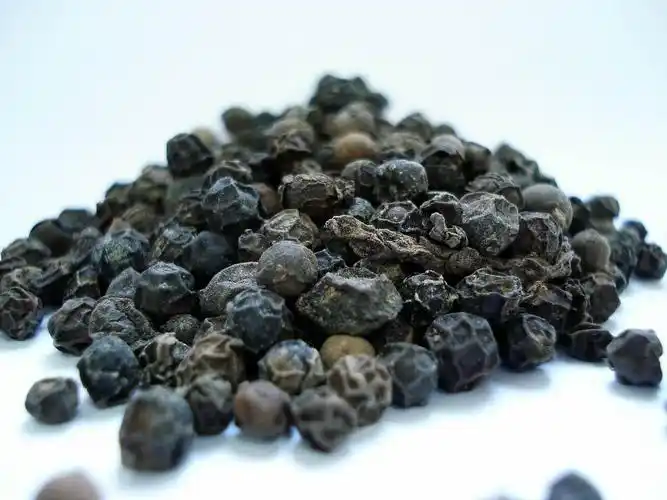 long pepper: black peppers predecessor in europe