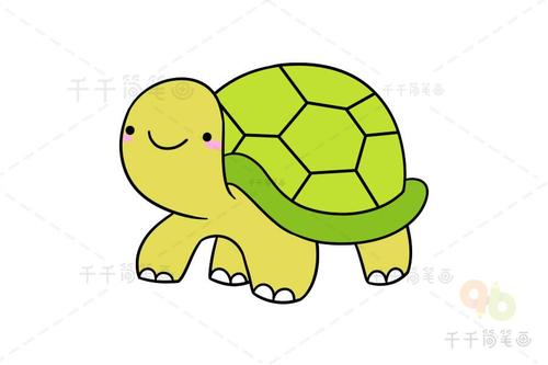乌龟简笔画如何画