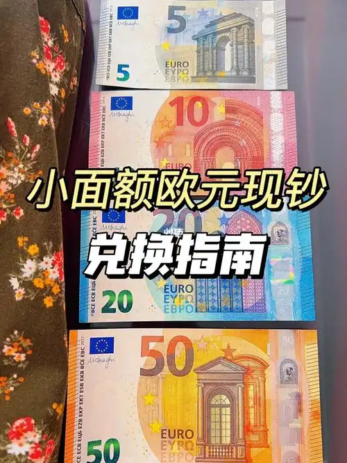 3000欧元现钞,成功拿到了都是6015小面额的纸币(5,10,20,50面值)