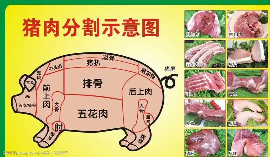 猪肉分割图图片