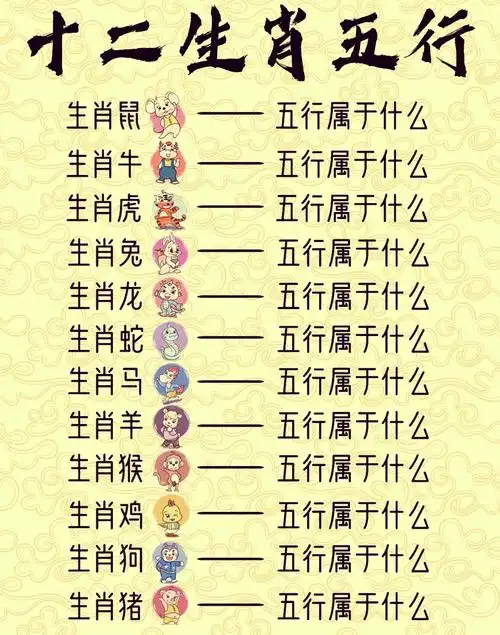 🐉十二生肖与五行属性大揭秘🔍