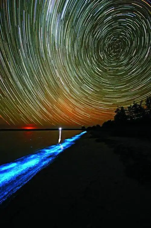 荧光海 把"星光"纳入怀抱的大海|画廊|中国国家地理网