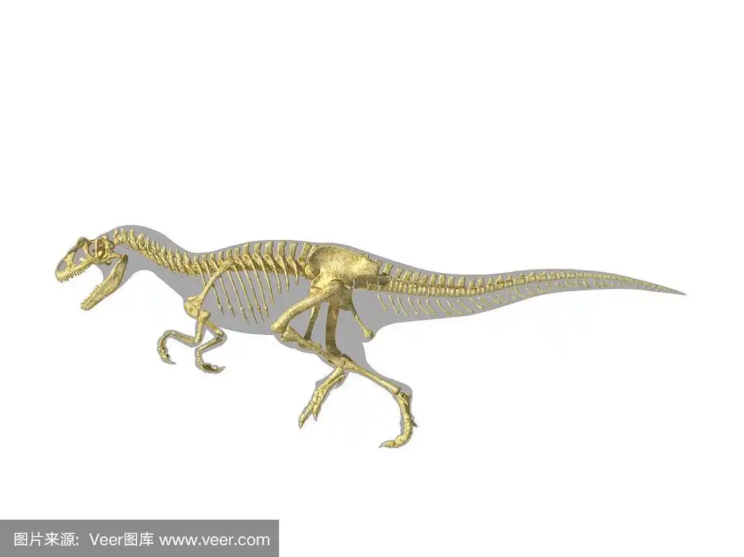 异特龙恐龙剪影与照片逼真的骨骼.