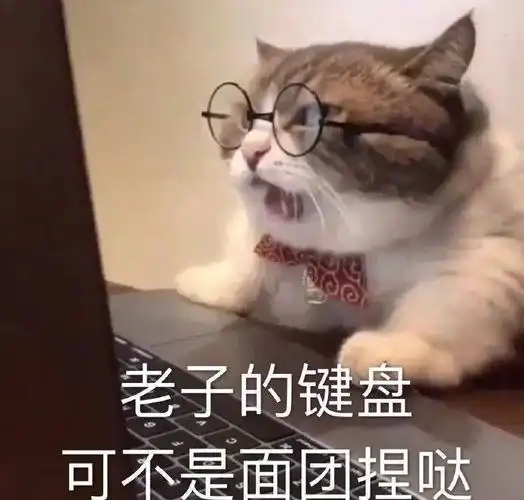 今日推荐-斗图人士专用的微信群聊带字表情包【金馆长表情包】 – 金