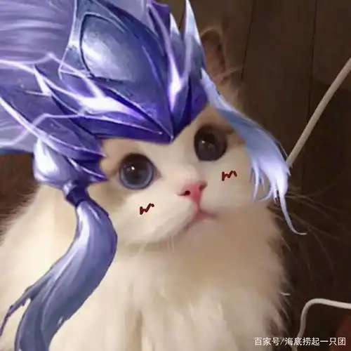 王者荣耀 开黑 情侣 闺蜜 头像高清图无水印图请关注私信我要qwq