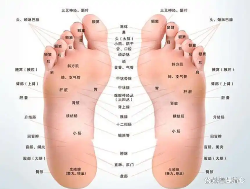 玄学:三处有痣文殊转世,脚底这三处有痣的人,是注定的福寿双全