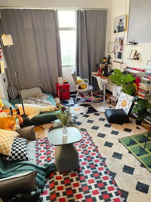 地毯控走不了极简风20平米单间的极繁主义