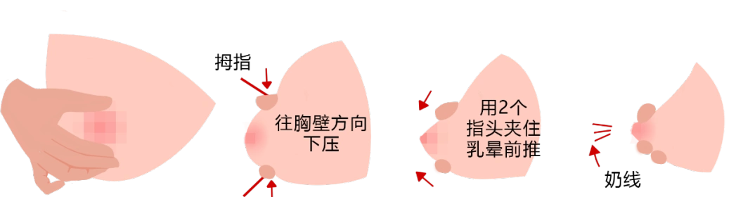 「图解」9步通乳手法,很实用!