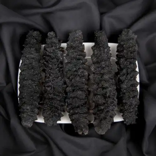 一德路毅鑫堂批发龙纹参螺纹参酒店食材 黑刺参淡干海参干货刺参