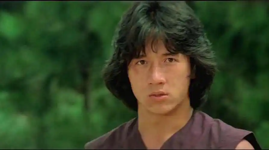 101978年《醉拳》:讲述了少年黄飞鸿从只会招惹麻烦的混小子,经挫折