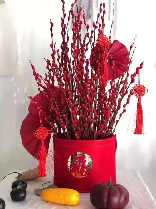 其它 《陌上花开香如故》年宵花——花品,价格及图片 写美篇 银柳 又