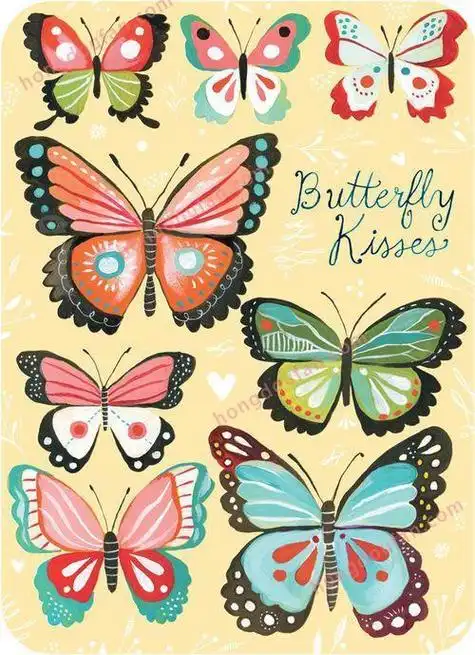 画法彩色蝴蝶简笔画步骤图简单漂亮卡通蝴蝶简笔画的彩色画法1一6年级