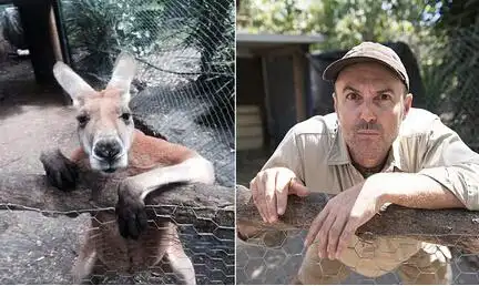 【趣闻】澳管理员模仿动物搞笑照片蹿红网络