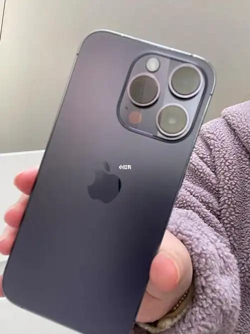 iphone14pro暗紫色全款拿下了