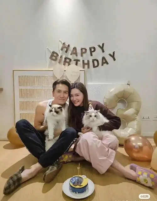 36岁汤洛雯和50岁老公马国明为爱猫庆3周岁生日大王子满三岁啦