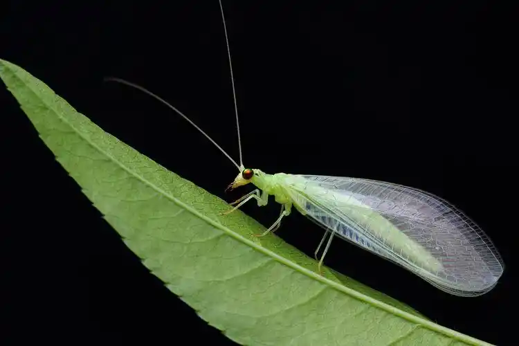 69 yoseph小白 69 相册