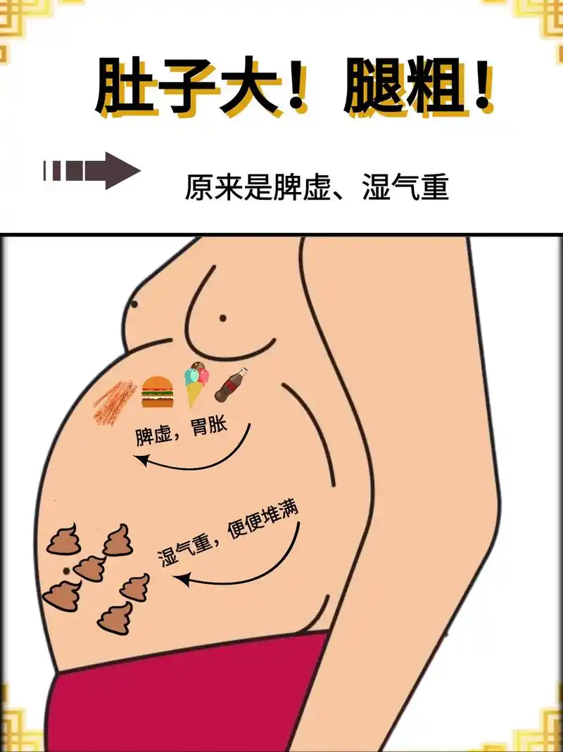 真悟了75肚子大,腿粗75原来是脾虚,湿气重.