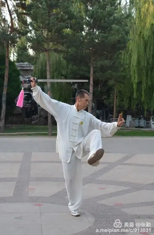 陈氏混元48式太极剑.姚曾义大师