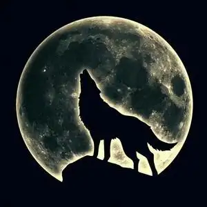 西伯利亚狼头像