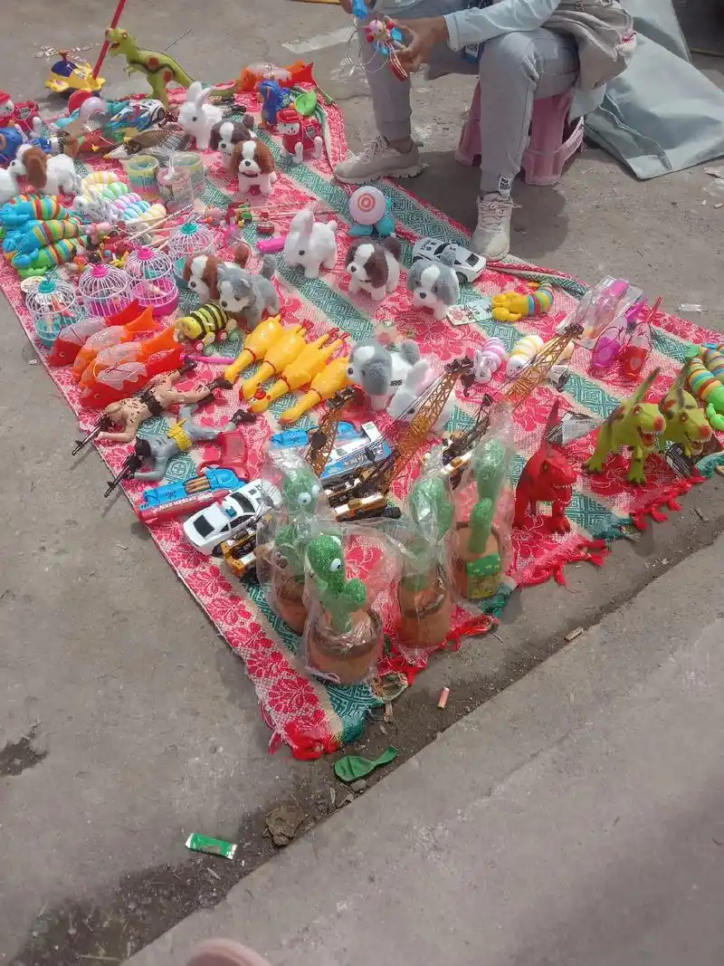 徐州白云洞庙会有卖植物玩偶,有卖小狗玩偶,有卖人玩具,有卖恐