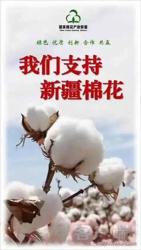 国家棉花产业联盟发声我们支持新疆棉花