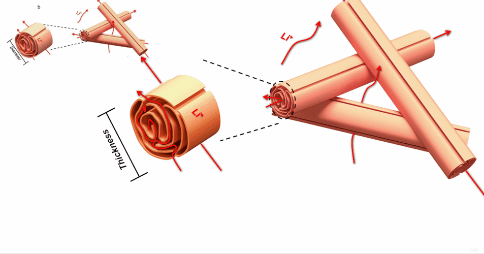 示意图 局部放大效果的ppt画法,简单,实用