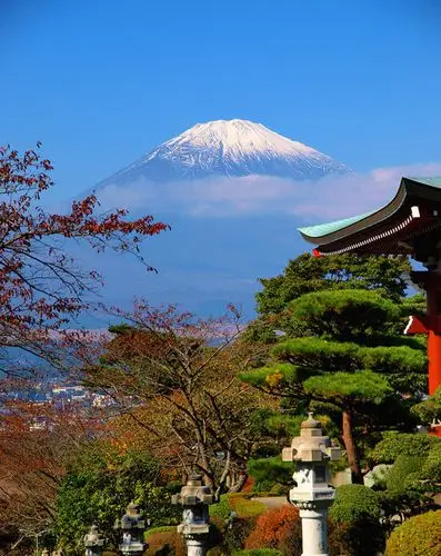 与杜拉拉一起游遍日本伊豆