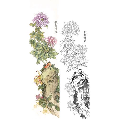 临冯爱国国画花鸟工笔画白描底稿四条屏之菊花《秋影随风》线描稿